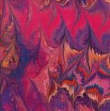 Dark Fuschia