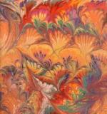 Light Orange